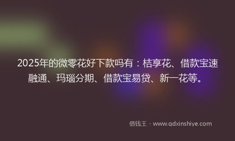 2025年的微零花好下款吗有：桔享花、借款宝速融通、玛瑙分期、借款宝易贷、新一花等。