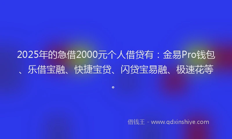 2025年的急借2000元个人借贷有：金易Pro钱包、乐借宝融、快捷宝贷、闪贷宝易融、极速花等。