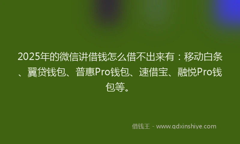 2025年的微信讲借钱怎么借不出来有：移动白条、翼贷钱包、普惠Pro钱包、速借宝、融悦Pro钱包等。