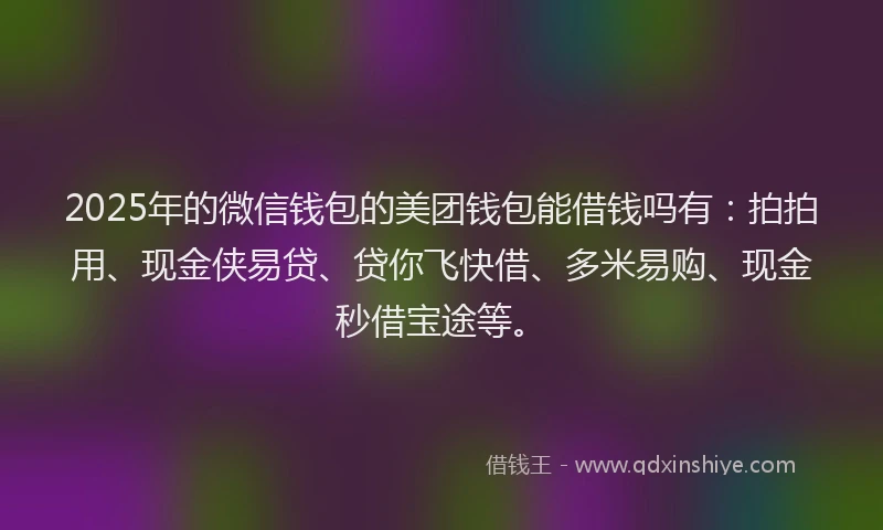 2025年的微信钱包的美团钱包能借钱吗有：拍拍用、现金侠易贷、贷你飞快借、多米易购、现金秒借宝途等。