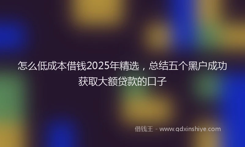 怎么低成本借钱2025年精选，总结五个黑户成功获取大额贷款的口子