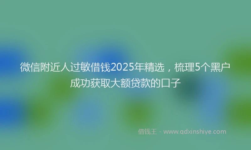 微信附近人过敏借钱2025年精选，梳理5个黑户成功获取大额贷款的口子