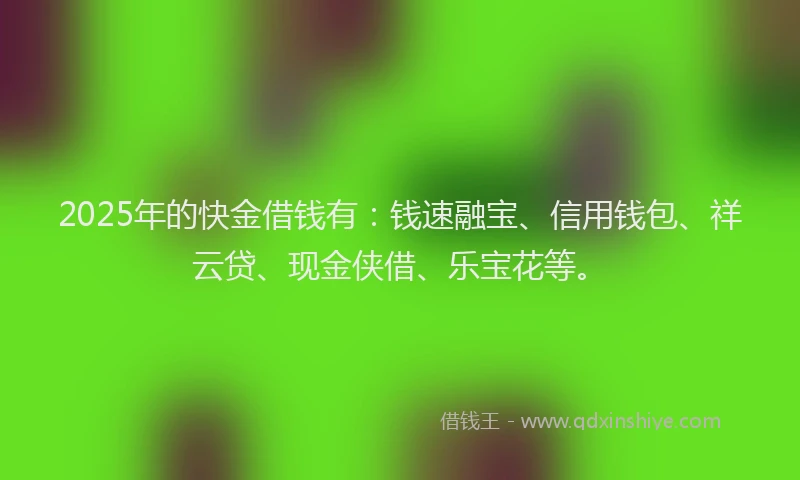 2025年的快金借钱有：钱速融宝、信用钱包、祥云贷、现金侠借、乐宝花等。