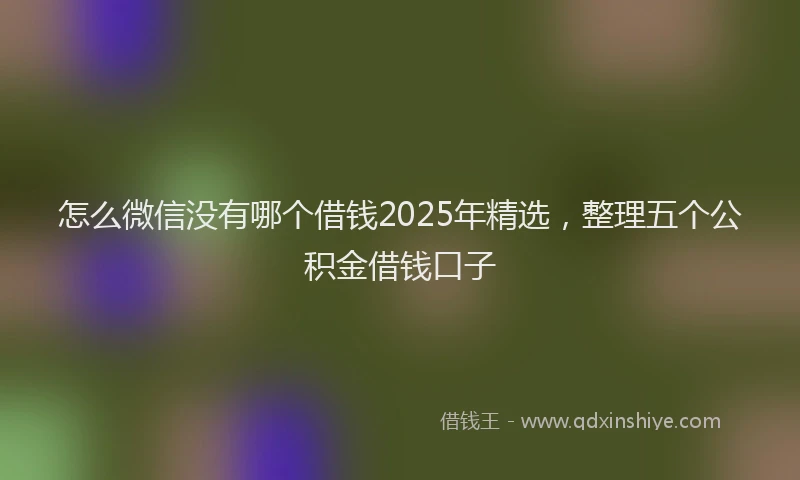 怎么微信没有哪个借钱2025年精选，整理五个公积金借钱口子
