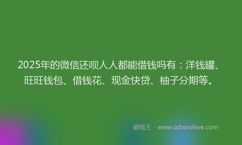 2025年的微信还呗人人都能借钱吗有：洋钱罐、旺旺钱包、借钱花、现金快贷、柚子分期等。
