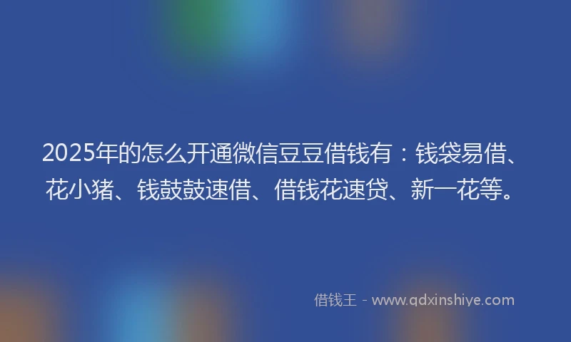 2025年的怎么开通微信豆豆借钱有：钱袋易借、花小猪、钱鼓鼓速借、借钱花速贷、新一花等。