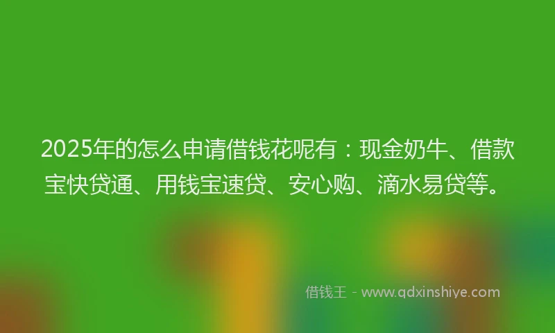 2025年的怎么申请借钱花呢有：现金奶牛、借款宝快贷通、用钱宝速贷、安心购、滴水易贷等。