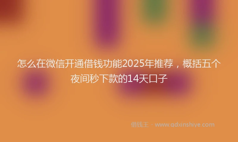 怎么在微信开通借钱功能2025年推荐，概括五个夜间秒下款的14天口子