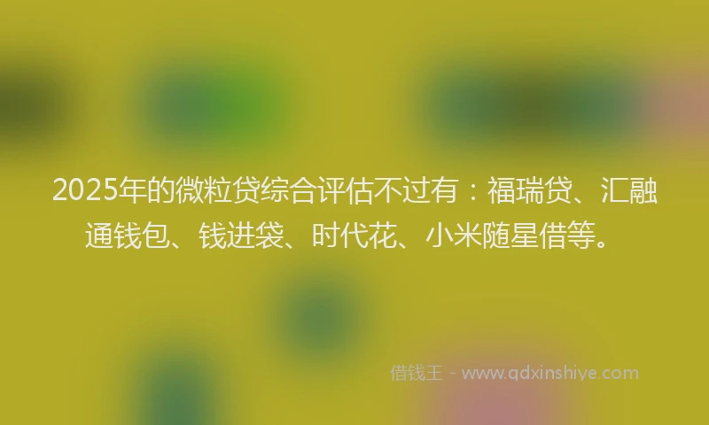 2025年的微粒贷综合评估不过有：福瑞贷、汇融通钱包、钱进袋、时代花、小米随星借等。