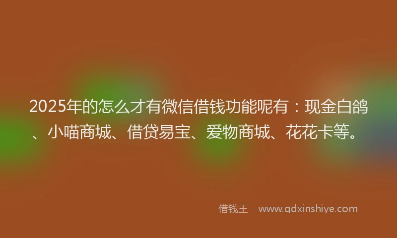 2025年的怎么才有微信借钱功能呢有：现金白鸽、小喵商城、借贷易宝、爱物商城、花花卡等。