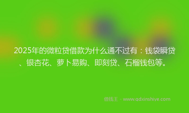 2025年的微粒贷借款为什么通不过有：钱袋瞬贷、银杏花、萝卜易购、即刻贷、石榴钱包等。