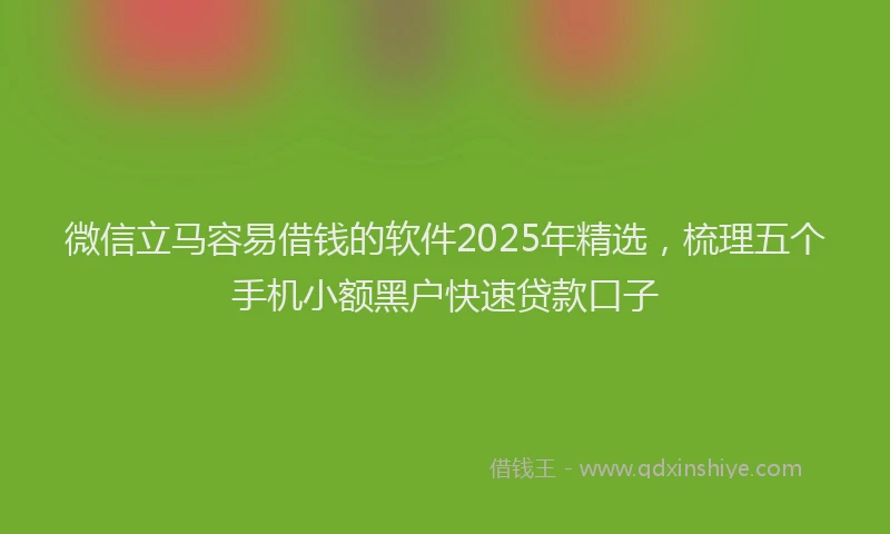 微信立马容易借钱的软件2025年精选，梳理五个手机小额黑户快速贷款口子