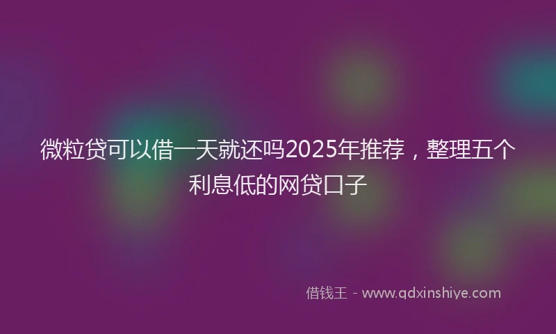 微粒贷可以借一天就还吗2025年推荐，整理五个利息低的网贷口子