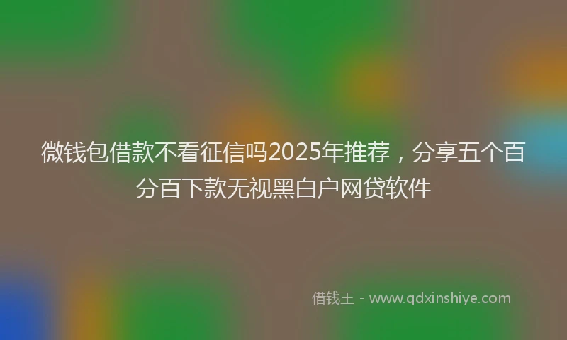 微钱包借款不看征信吗2025年推荐，分享五个百分百下款无视黑白户网贷软件