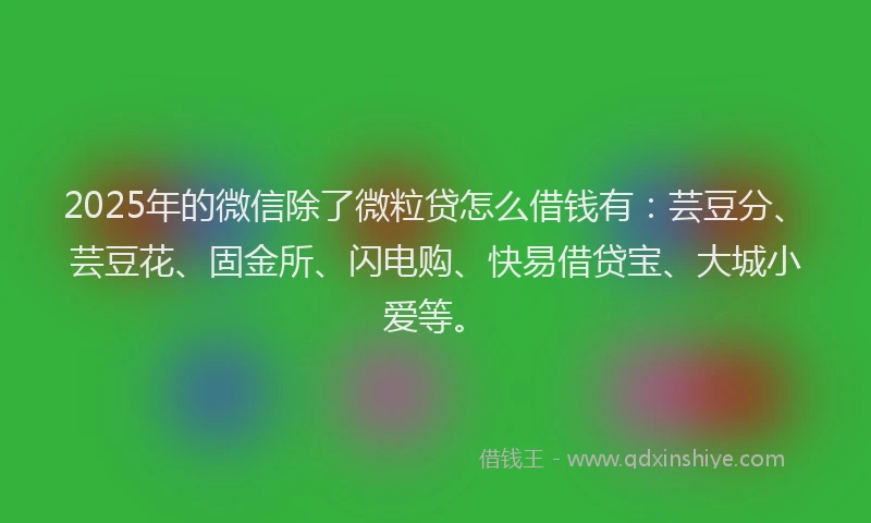 2025年的微信除了微粒贷怎么借钱有：芸豆分、芸豆花、固金所、闪电购、快易借贷宝、大城小爱等。