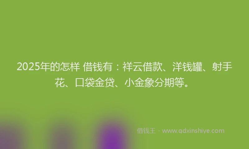 2025年的怎样 借钱有：祥云借款、洋钱罐、射手花、口袋金贷、小金象分期等。