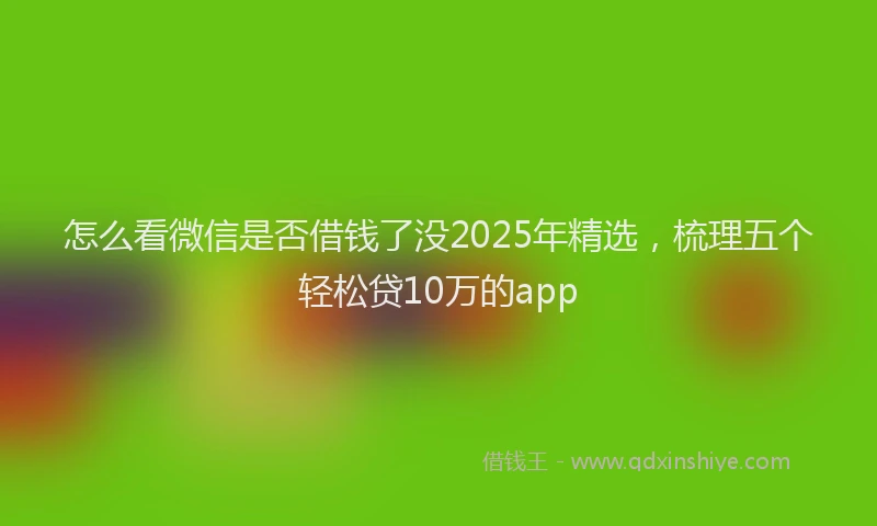 怎么看微信是否借钱了没2025年精选，梳理五个轻松贷10万的app