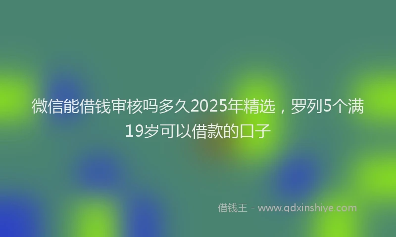 微信能借钱审核吗多久2025年精选，罗列5个满19岁可以借款的口子