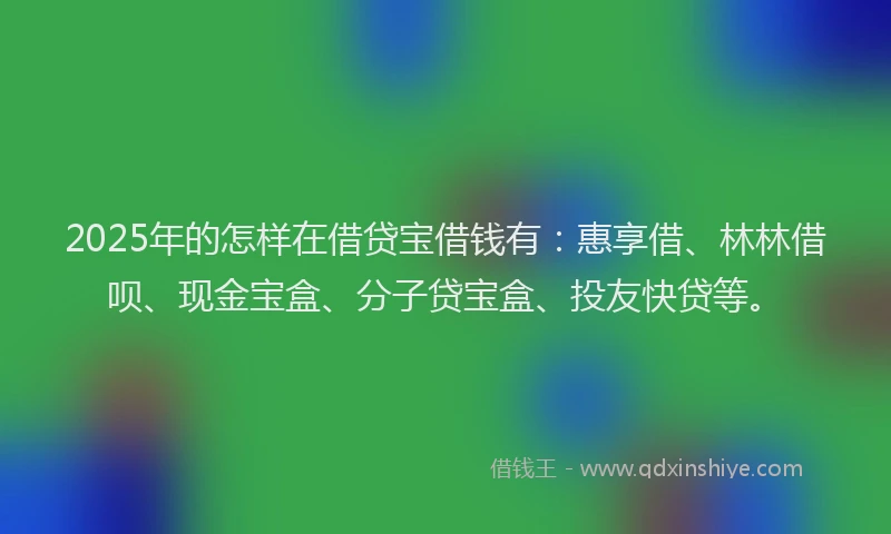 2025年的怎样在借贷宝借钱有：惠享借、林林借呗、现金宝盒、分子贷宝盒、投友快贷等。