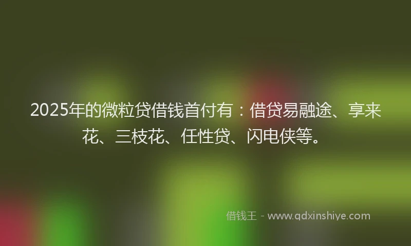 2025年的微粒贷借钱首付有：借贷易融途、享来花、三枝花、任性贷、闪电侠等。