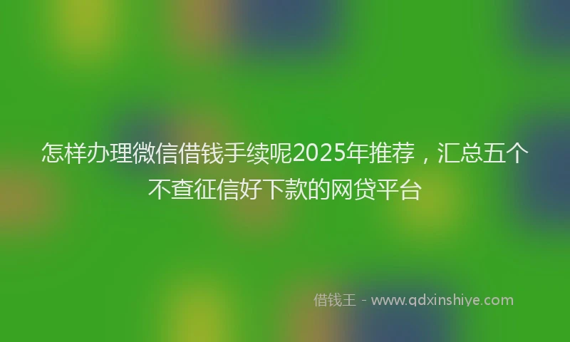 怎样办理微信借钱手续呢2025年推荐，汇总五个不查征信好下款的网贷平台