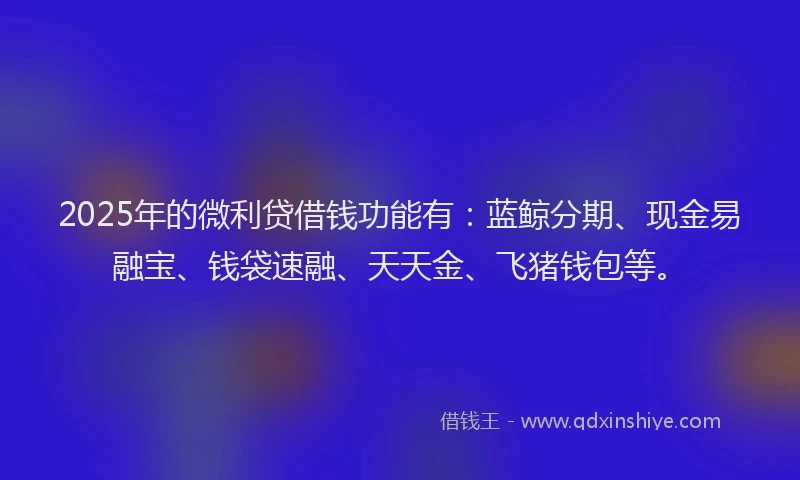 2025年的微利贷借钱功能有：蓝鲸分期、现金易融宝、钱袋速融、天天金、飞猪钱包等。