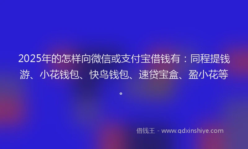 2025年的怎样向微信或支付宝借钱有：同程提钱游、小花钱包、快鸟钱包、速贷宝盒、盈小花等。