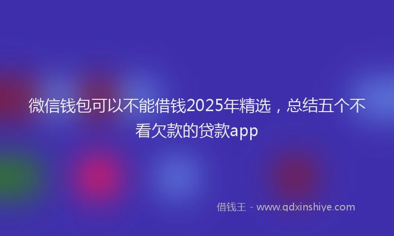 微信钱包可以不能借钱2025年精选，总结五个不看欠款的贷款app