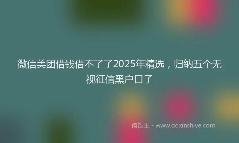 微信美团借钱借不了了2025年精选，归纳五个无视征信黑户口子