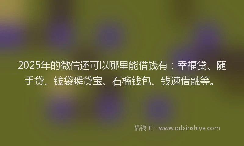 2025年的微信还可以哪里能借钱有：幸福贷、随手贷、钱袋瞬贷宝、石榴钱包、钱速借融等。