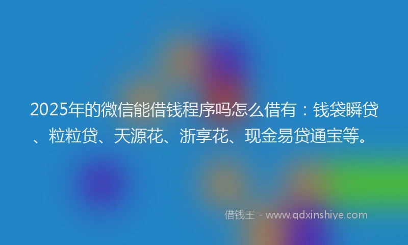 2025年的微信能借钱程序吗怎么借有：钱袋瞬贷、粒粒贷、天源花、浙享花、现金易贷通宝等。