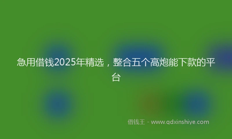 急用借钱2025年精选，整合五个高炮能下款的平台
