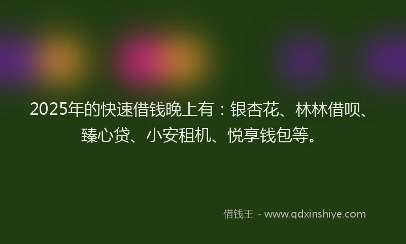 2025年的快速借钱晚上有：银杏花、林林借呗、臻心贷、小安租机、悦享钱包等。