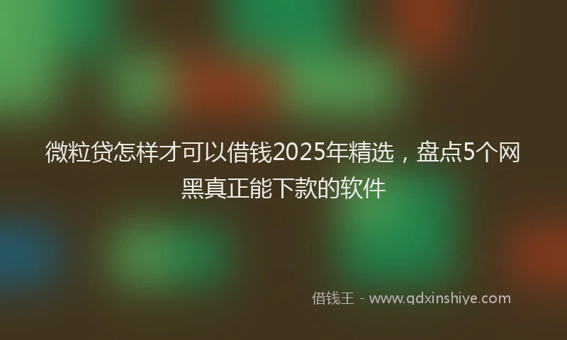 微粒贷怎样才可以借钱2025年精选，盘点5个网黑真正能下款的软件