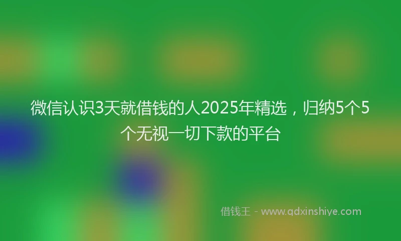 微信认识3天就借钱的人2025年精选，归纳5个5个无视一切下款的平台
