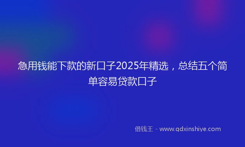 急用钱能下款的新口子2025年精选，总结五个简单容易贷款口子