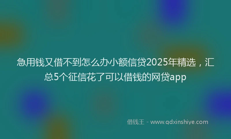 急用钱又借不到怎么办小额信贷2025年精选，汇总5个征信花了可以借钱的网贷app