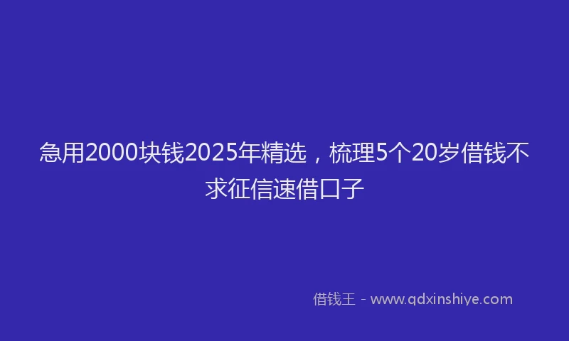 急用2000块钱2025年精选，梳理5个20岁借钱不求征信速借口子