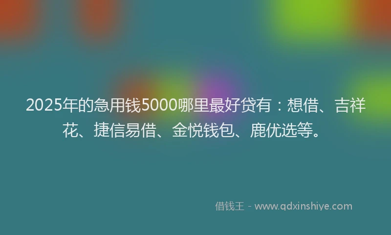 2025年的急用钱5000哪里最好贷有：想借、吉祥花、捷信易借、金悦钱包、鹿优选等。