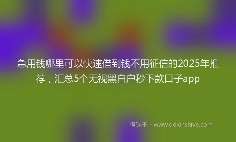 急用钱哪里可以快速借到钱不用征信的2025年推荐，汇总5个无视黑白户秒下款口子app