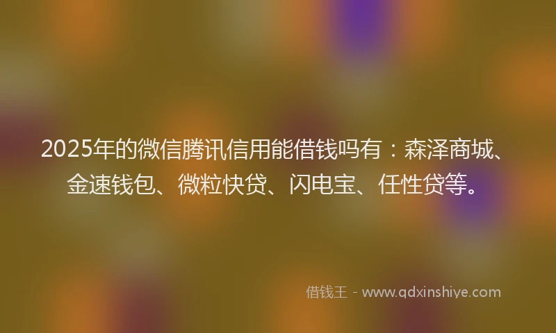 2025年的微信腾讯信用能借钱吗有：森泽商城、金速钱包、微粒快贷、闪电宝、任性贷等。