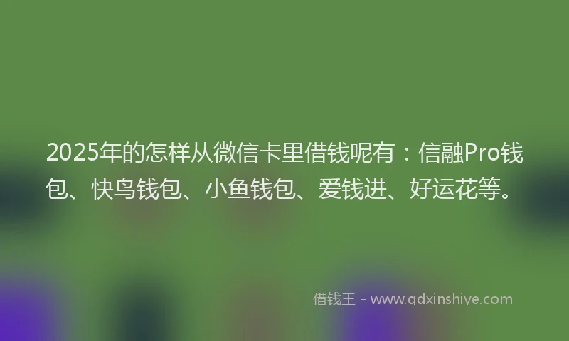 2025年的怎样从微信卡里借钱呢有：信融Pro钱包、快鸟钱包、小鱼钱包、爱钱进、好运花等。