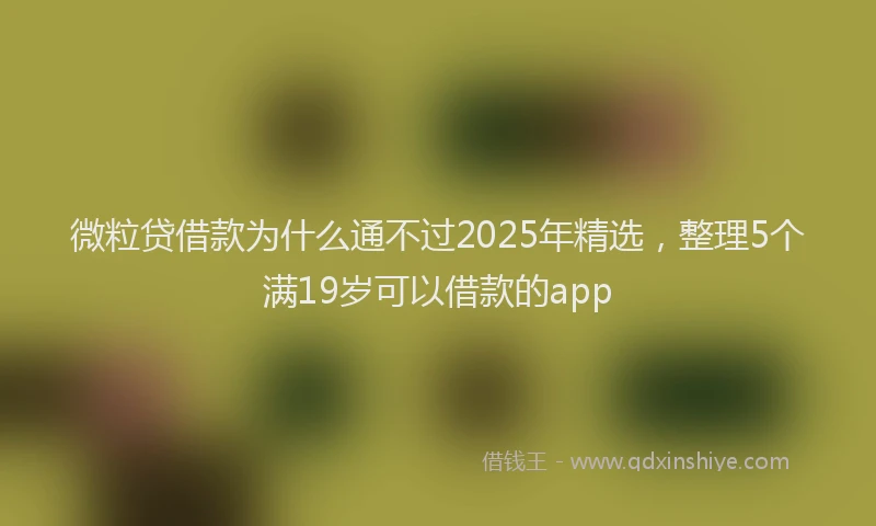 微粒贷借款为什么通不过2025年精选，整理5个满19岁可以借款的app