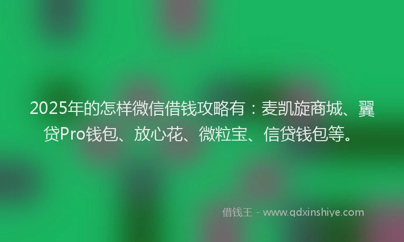 2025年的怎样微信借钱攻略有：麦凯旋商城、翼贷Pro钱包、放心花、微粒宝、信贷钱包等。