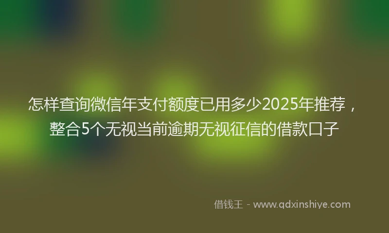 怎样查询微信年支付额度已用多少2025年推荐，整合5个无视当前逾期无视征信的借款口子