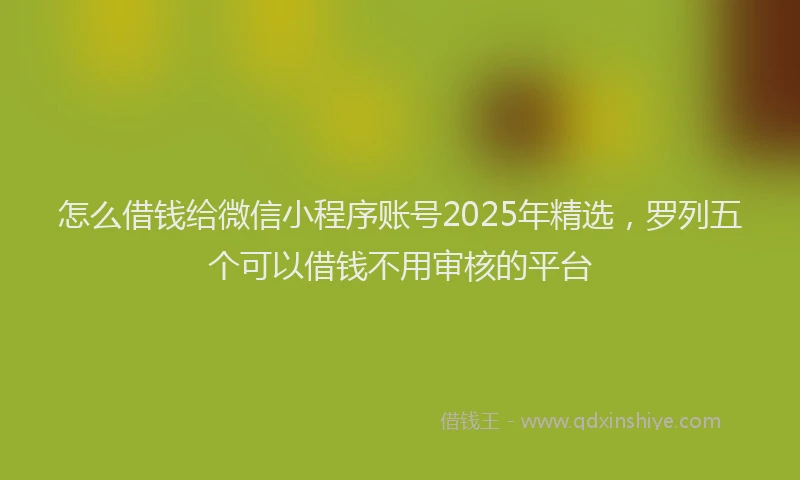 怎么借钱给微信小程序账号2025年精选，罗列五个可以借钱不用审核的平台