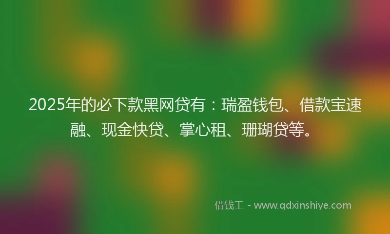 2025年的必下款黑网贷有：瑞盈钱包、借款宝速融、现金快贷、掌心租、珊瑚贷等。