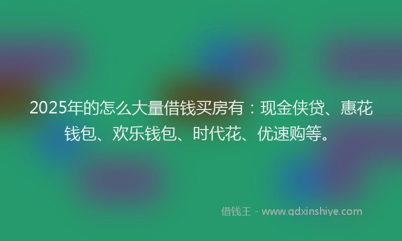 2025年的怎么大量借钱买房有：现金侠贷、惠花钱包、欢乐钱包、时代花、优速购等。