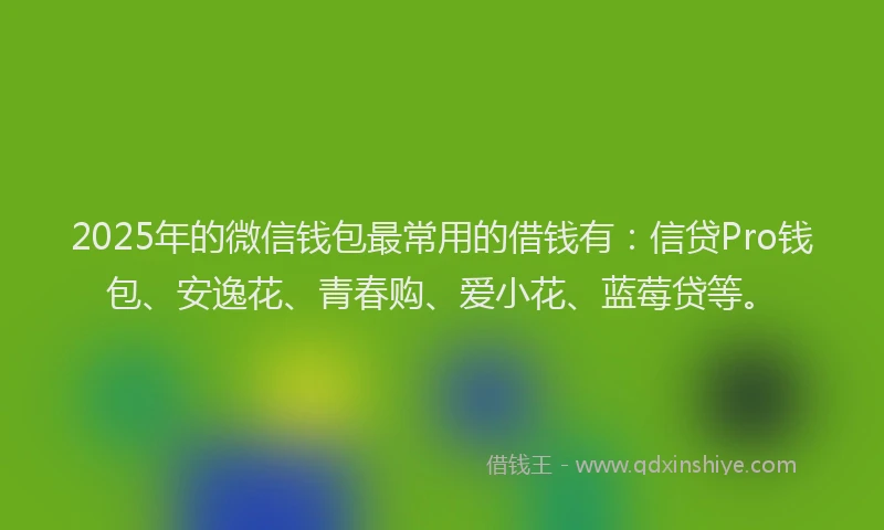 2025年的微信钱包最常用的借钱有：信贷Pro钱包、安逸花、青春购、爱小花、蓝莓贷等。