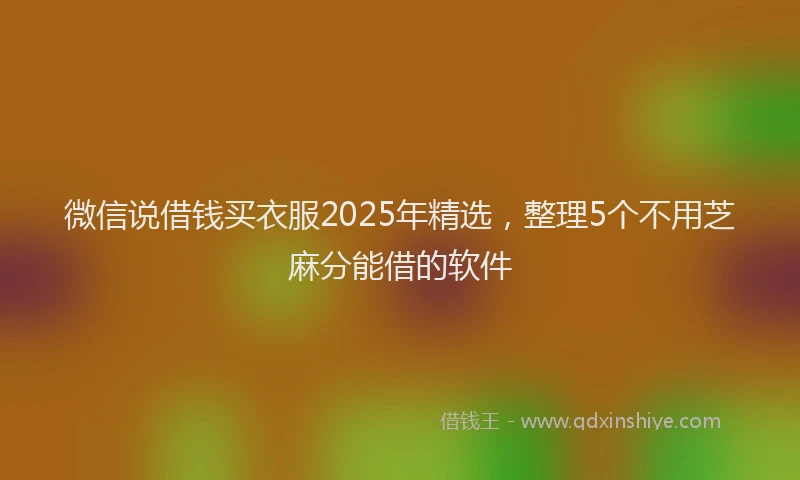 微信说借钱买衣服2025年精选，整理5个不用芝麻分能借的软件